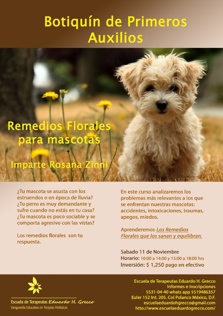 perros y gatos, mascotas y esencias florales, Esc. terapeutas Dr. Eduardo H. Grecco, flores de Bach, esencias florales para mascotas, 