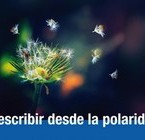 Taller: “Prescribir desde la polaridad”