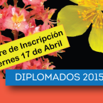 Diplomados 2015