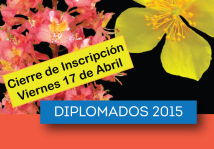 Diplomados 2015