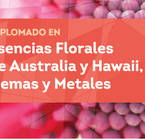 Diplomado en Esencias Florales de Australia y Hawaii, Gemas y Metales.