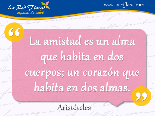 La amistad es un alma que habita en dos cuerpos . . .