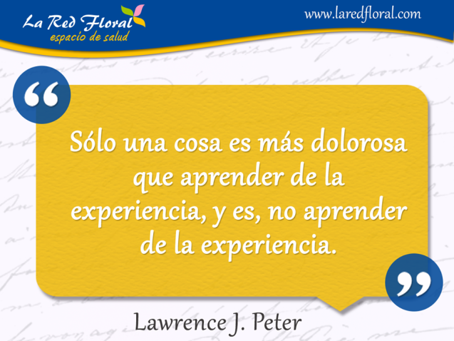 Solo una cosa es más dolorosa que aprender de la experiencia y es . . .