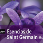 Curso Esencias de Saint Germain