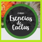 Curso Esencias de Cactus