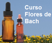 Curso básico en formación de Flores de Bach