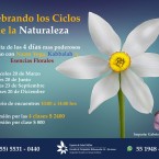 Celebrando los Ciclos de la Naturaleza.