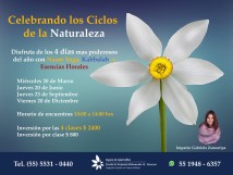 Celebrando los Ciclos de la Naturaleza.