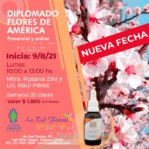 ÚLTIMA FECHA para incorporarte. Clase 3: 23 de Agosto «Flores de América»