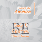 Curso «FLORES DE AMÉRICA – CALIFORNIA» / Inicia en 2do. Semestre 2022