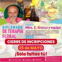 Todavía puedes incorporarte, fecha límite 25 de mayo. Diplomado Terapia Floral sistema Bach