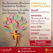 PUEDES INCORPORARTE FECHA LÍMITE 8 de octubre Teórico Vivencial «Fórmulas Constelares»