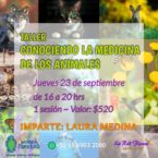 Taller «Conociendo la Medicina de los Animales «