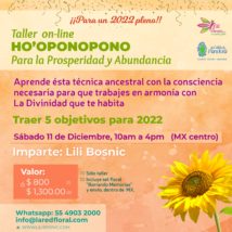 Taller On-line Ho´oponopono «Para la Prosperidad y Abundancia»