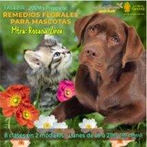 FECHA LÍMTE DE INGRESO 2do. Módulo 28-3 / Taller «REMEDIOS FLORALES PARA MASCOTAS»