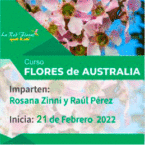 FECHA LIMITE DE INGRESO 28-3 /Curso «FLORES DE AUSTRALIA»