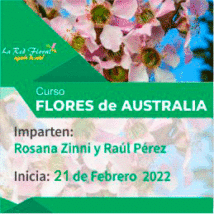 FECHA LIMITE DE INGRESO 28-3 /Curso «FLORES DE AUSTRALIA»