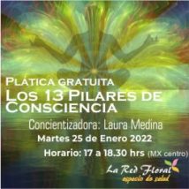 Plática gratuita «Los 13 Pilares de la consciencia»