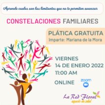 Plática gratuita «Constelaciones Familiares»