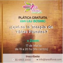 Plática gratuita ¿QUÉ ES LA TERAPIA DE VIDAS PASADAS?