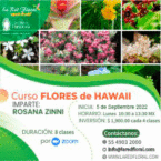 TODAVÍA PUEDES INCORPORARTE, FECHA LÍMITE 19 DE SEPTIEMBRE. Curso FLORES de HAWAII