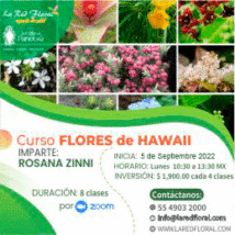 TODAVÍA PUEDES INCORPORARTE, FECHA LÍMITE 19 DE SEPTIEMBRE. Curso FLORES de HAWAII