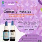 Curso esencias Gemas y Metales «BE»