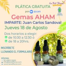 Plática gratuita «Gemas AHAM»