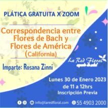 Plática GRATUITA «Correspondencias entre Flores de Bach y Flores de América»