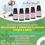 Plática GRATUITA «Relaciones y Esencias florales Psique Y Eros»