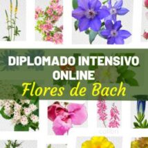 DIPLOMADO DE FLORES DE BACH «INTENSIVO» Semanal